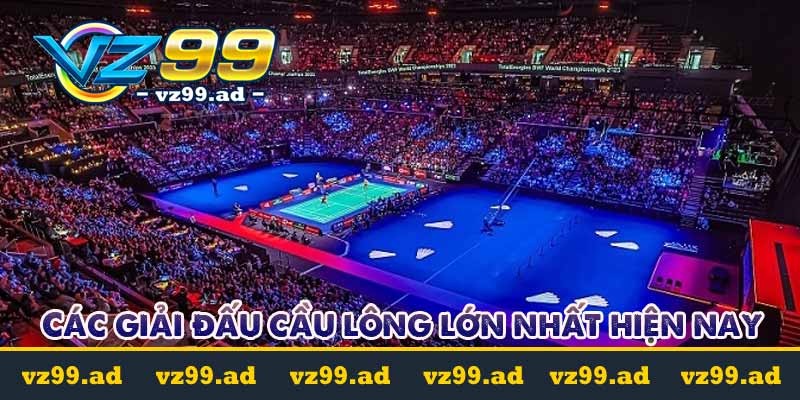 Cá cược cầu lông là gì? Tỷ lệ kèo cược dễ chơi dễ trúng 11 các giải đấu cá cược cầu lông lớn nhất hiện nay