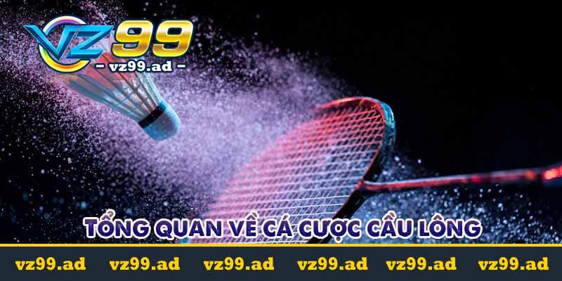 Cá cược cầu lông là gì? Tỷ lệ kèo cược dễ chơi dễ trúng 8 Tổng quan về cá cược cầu lông