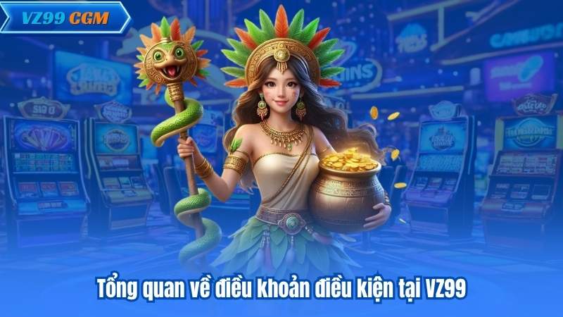 Điều Khoản Điều Kiện 4 Tổng quan về điều khoản điều kiện tại VZ99